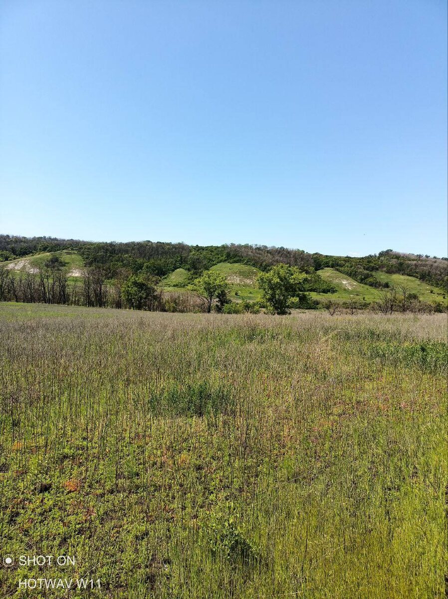 То самое Невское. Весна 2025 года.