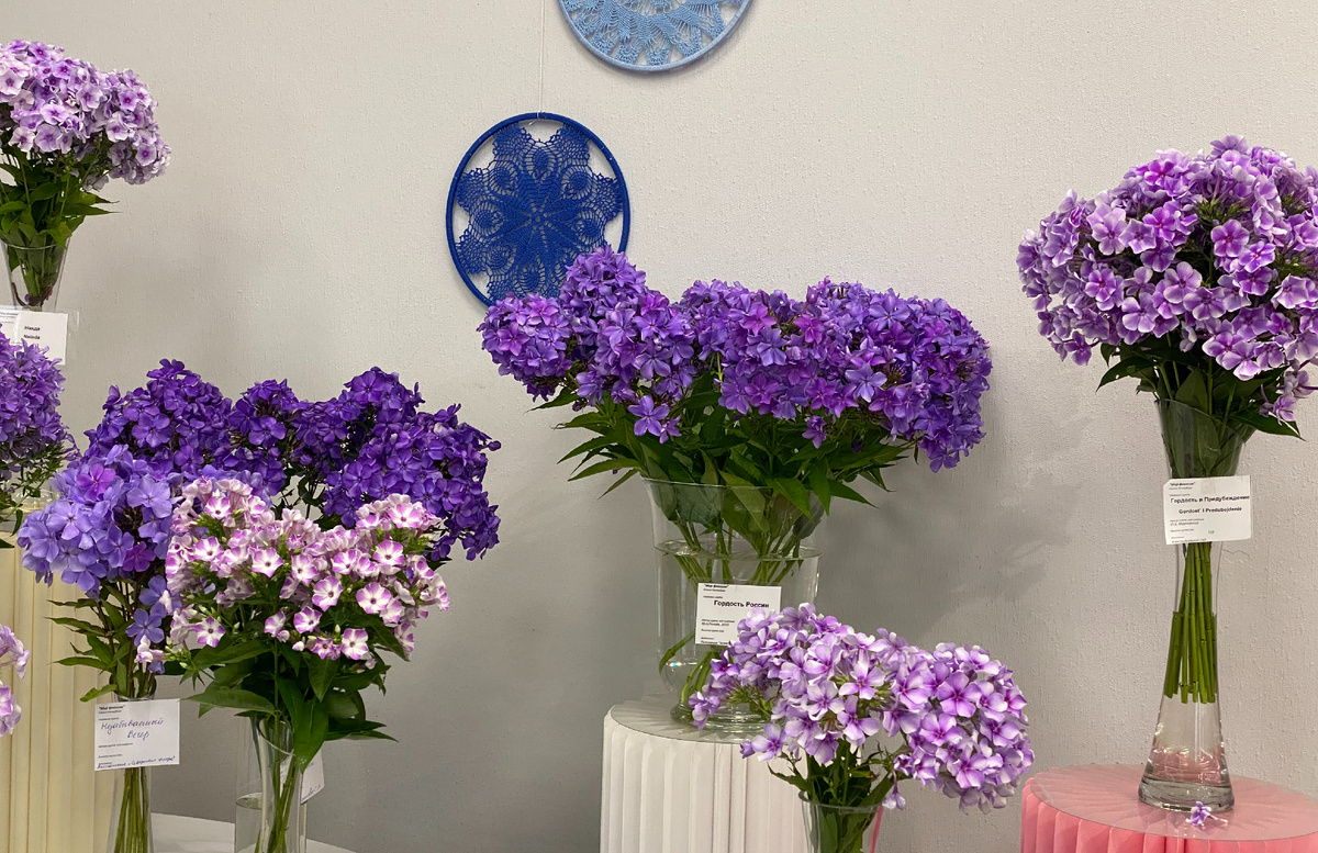 Фото: Леля Голованова