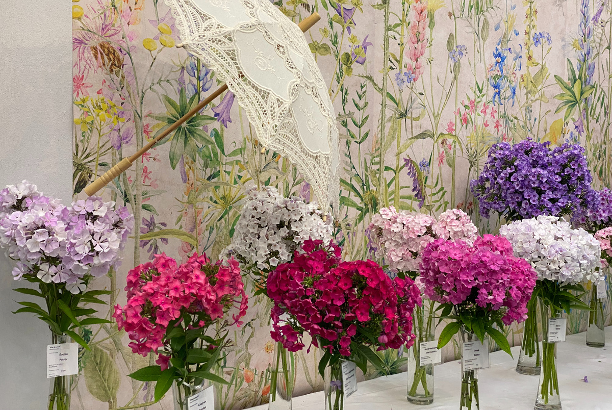 Фото: Леля Голованова