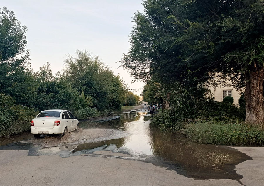 Фото автора