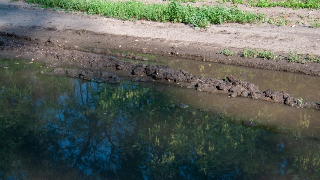    Фото: Svetlana Vozmilova/Globallookpress