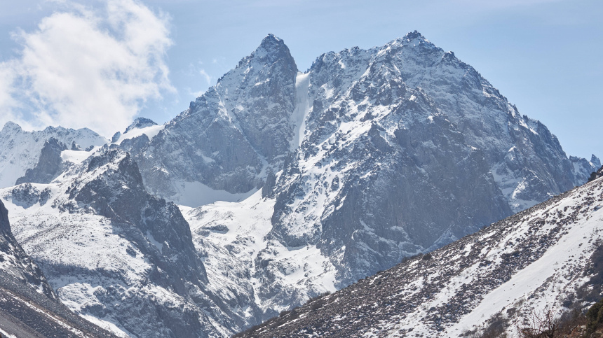    Фото: www.globallookpress.com/IMAGO/Zoonar.com/Ekaterina Iakim; 5-tv.ru