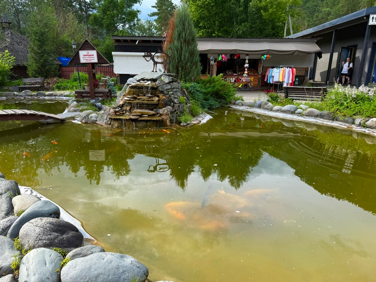 (фото автора)