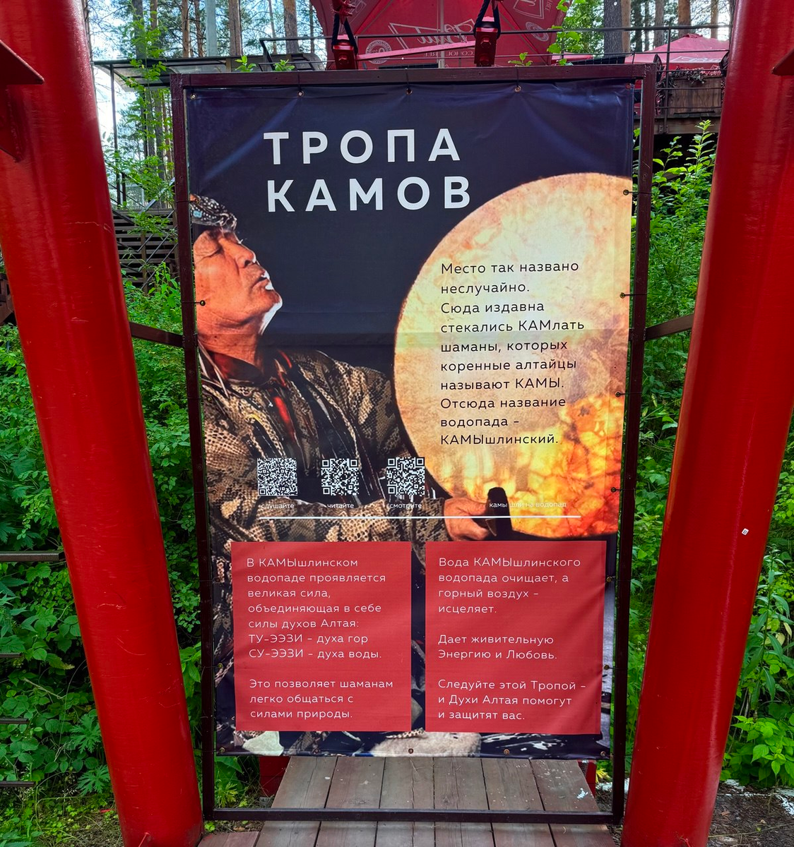 (фото автора)