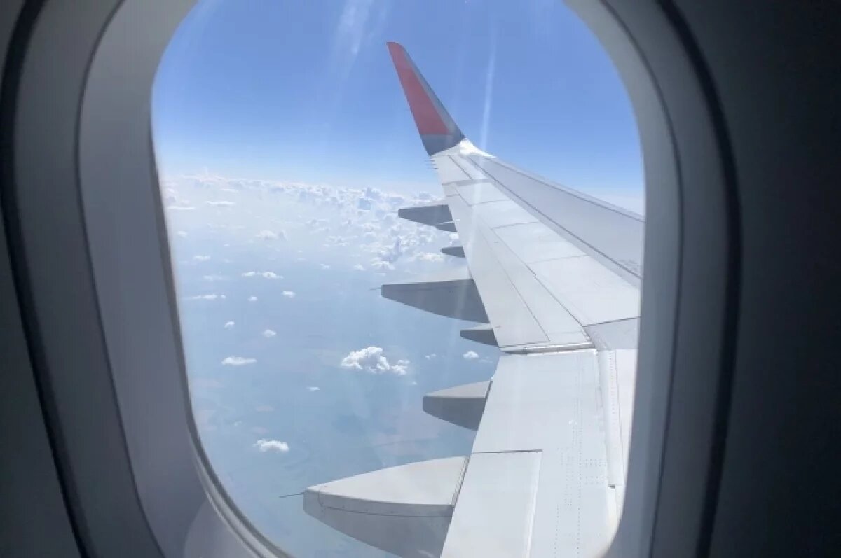    Рейс из Казани в Москву задержали из-за дебоширки на борту