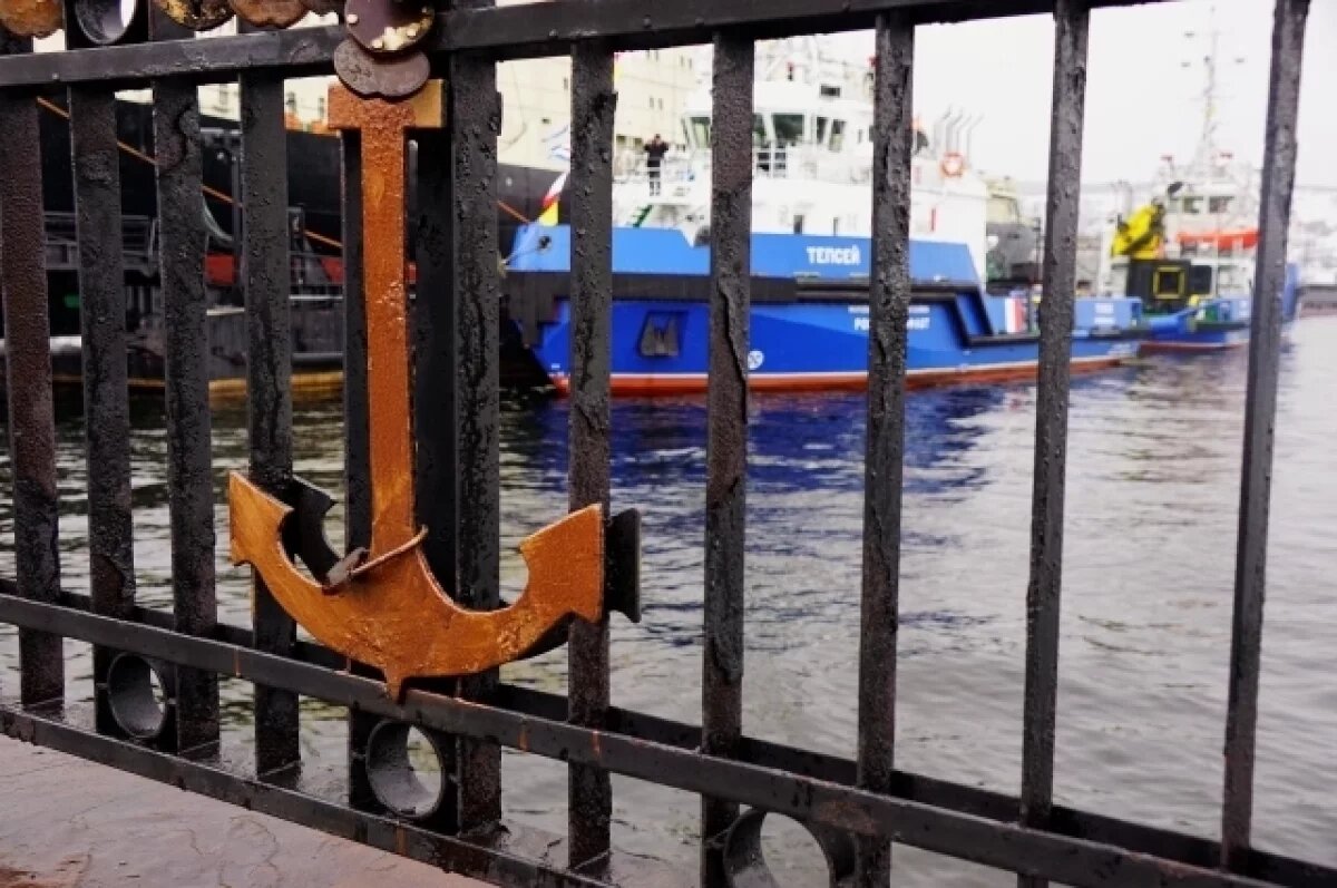    Международную арктическую экспедицию «Ледокол знаний» встретили в Мурманске