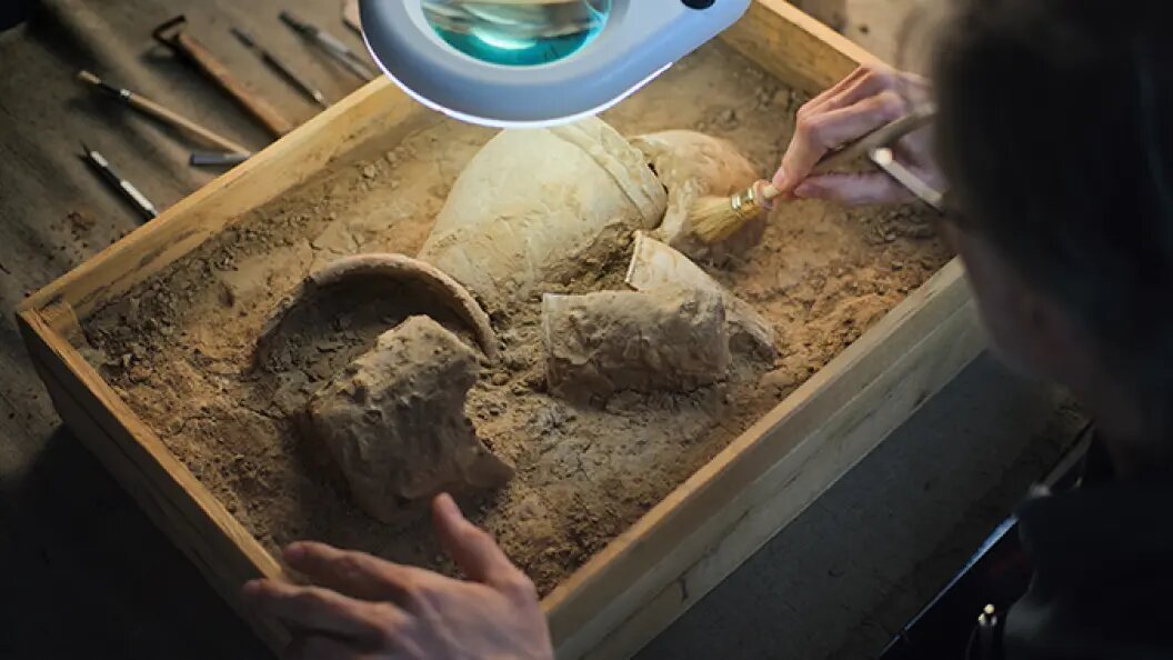    Фото: Frame Stock Footage/Shutterstock