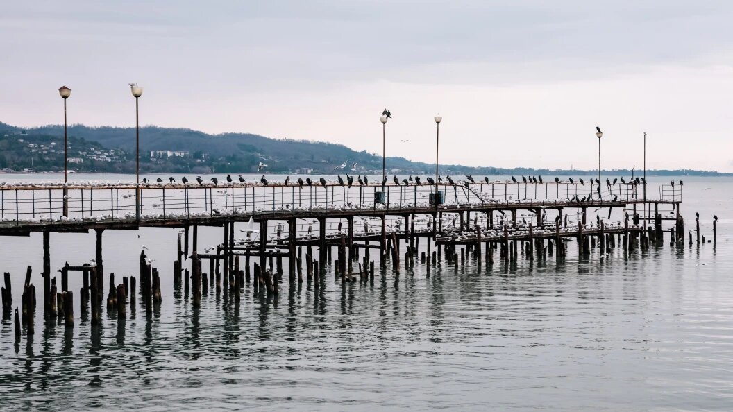    Roman Naumov/URA.RU/Globallookpress