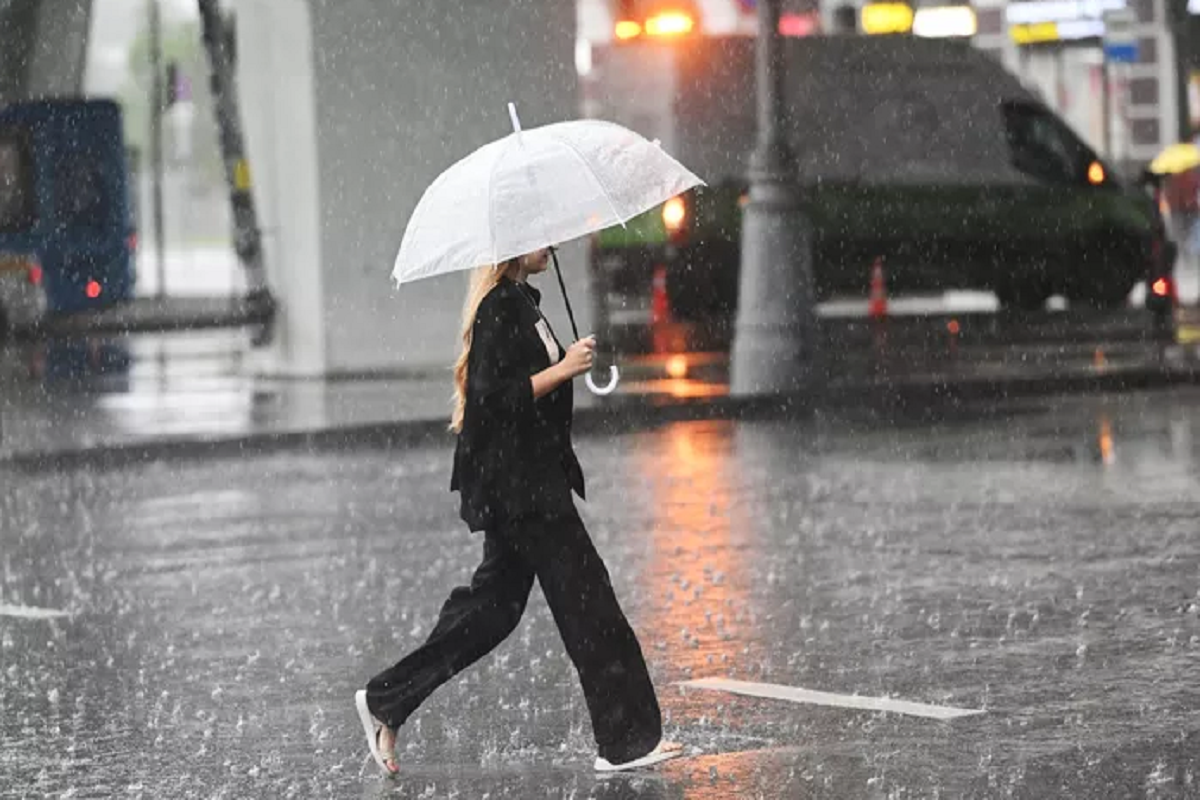    Фото: Кирилл Каллиников, источник: РИА Новости