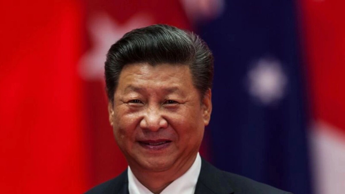    Фото: plavi011/Shutterstock/Fotodom