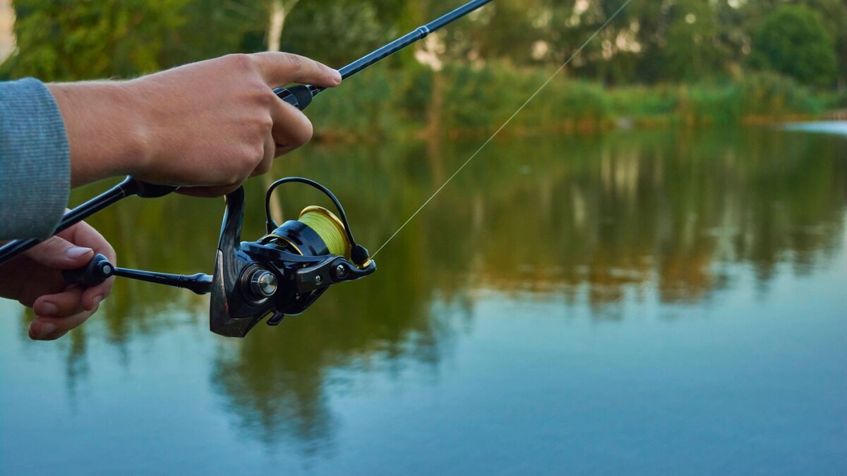    Фото: Yura2087/Shutterstock/Fotodom