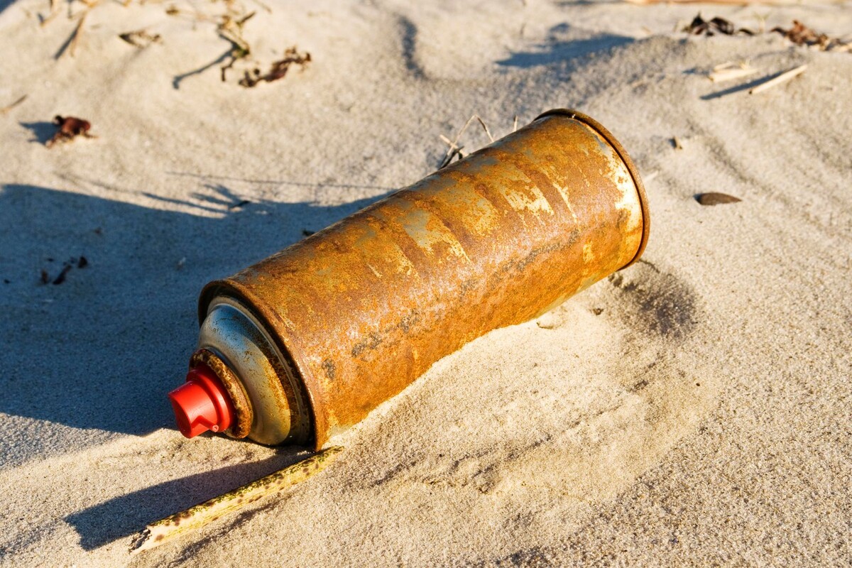     / Источник: © Ralph Kerpa/Global Look Press