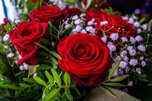 Прекрасные розы вам 🙏