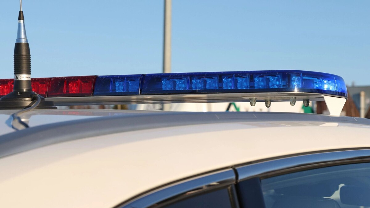    Фото: Андрей Ткачев/«Ямал-Медиа»