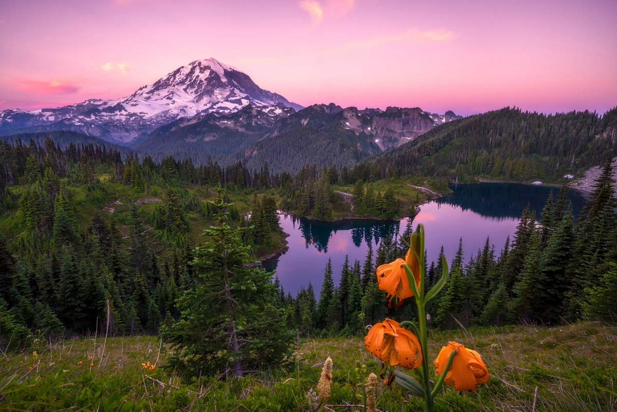 фото взято из интернета