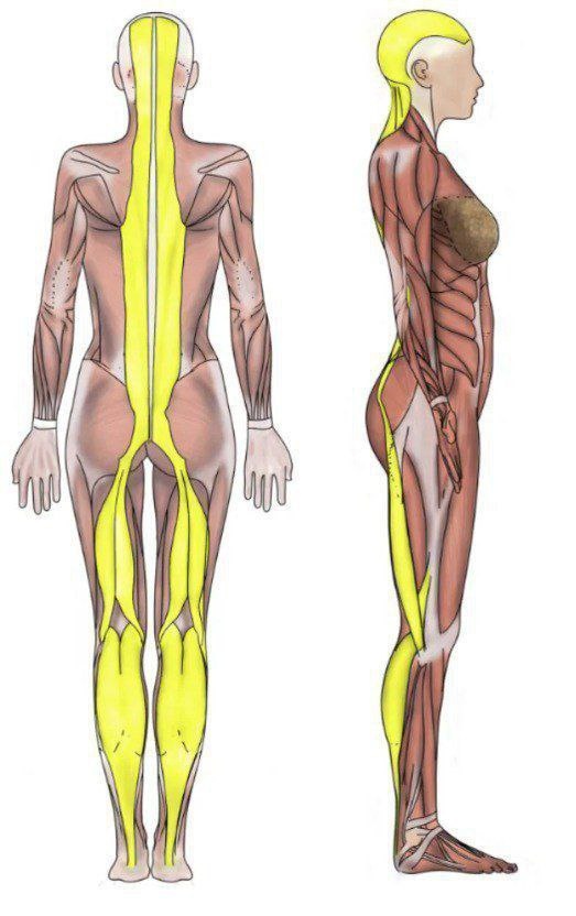 Иллюстрация взята из открытого Интернет-источника