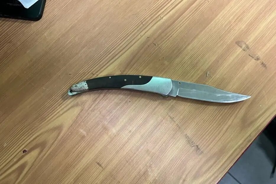    Фото: ГУ Росгвардии по Петербургу и Ленобласти