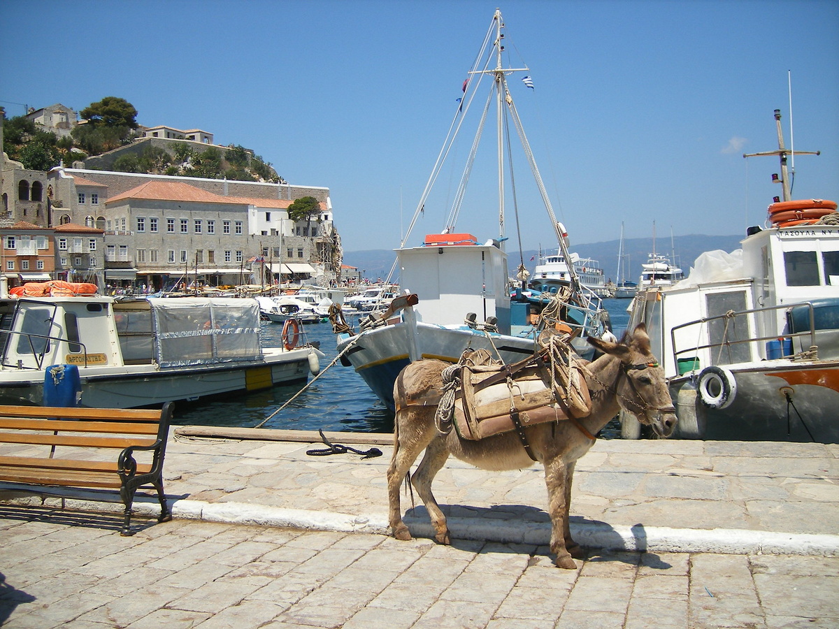 Фото: Liana / flickr.com