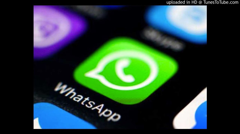    Школьные чаты в WhatsApp как почва для спама