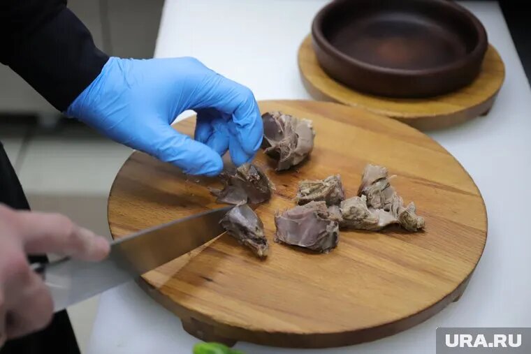 Популярный шеф-повар рассказал курганцам о детстве на Севере и первых блюдах
Фото: Размик Закарян © URA.RU