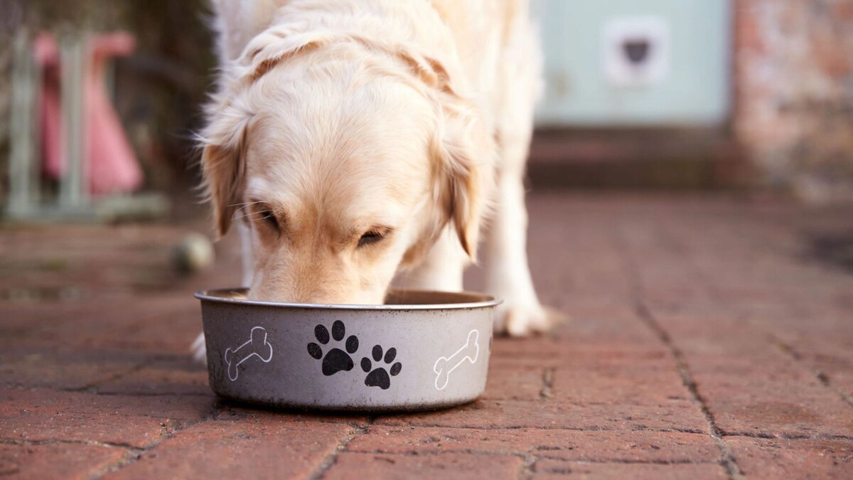    Фото: Monkey Business Images/Shutterstock/Fotodom