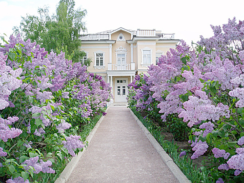    Усадьба М.А. Шолохова. Сиреневая аллея. Администратор