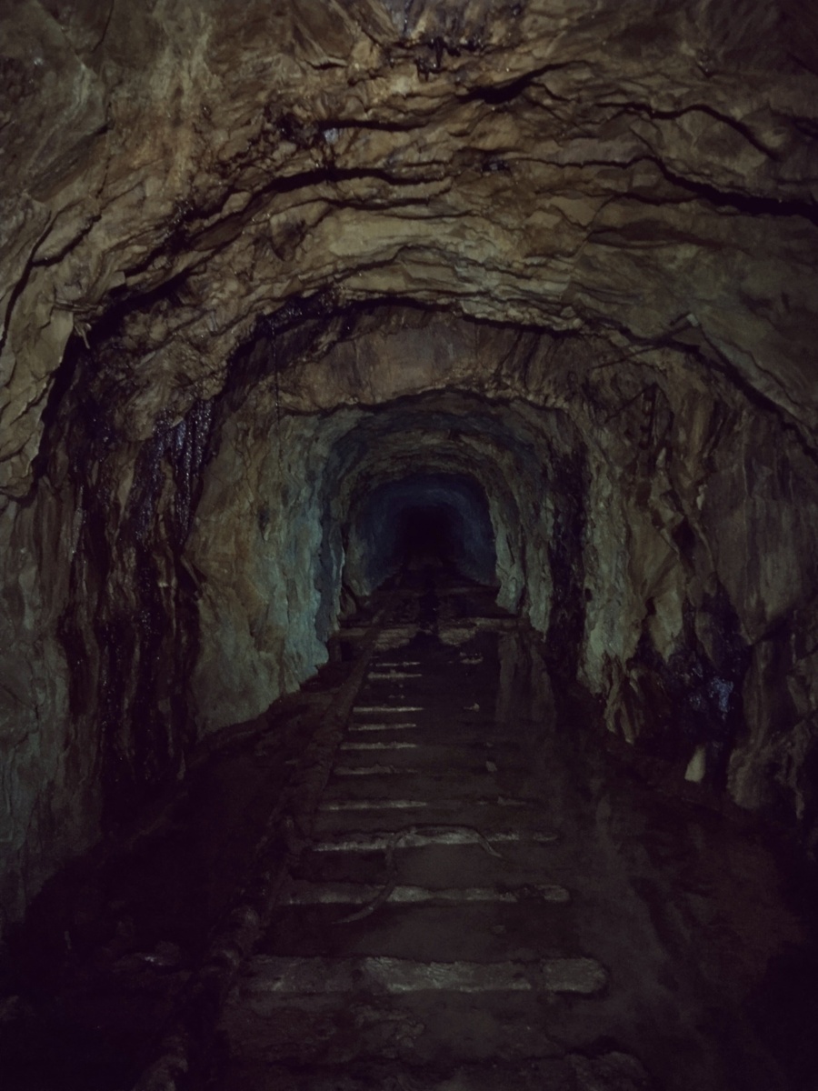 Мы сразу поплыли в другую сторону