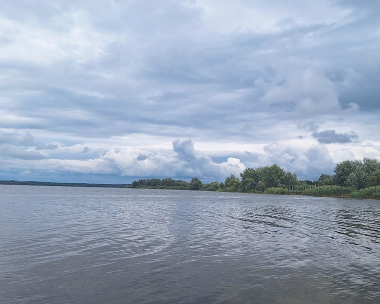     В Курской области 24 августа ожидаются дождь и +21 градус