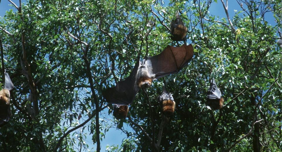    Vadim Nekrasov/Russian Look / www.globallookpress.com