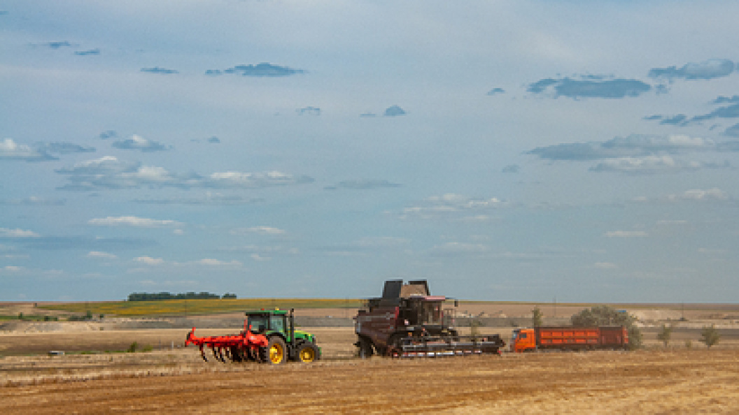    Фото: Svetlana Vozmilova/Globallookpress