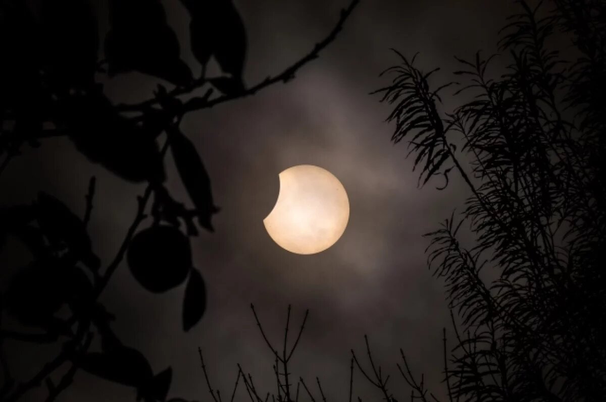    Полное лунное затмение смогут увидеть новосибирцы в ночь на 8 сентября