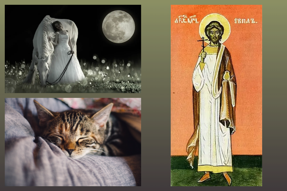 Сщмч. Евпл Катанский, кот, Девушка и лощадь/pixabay.com