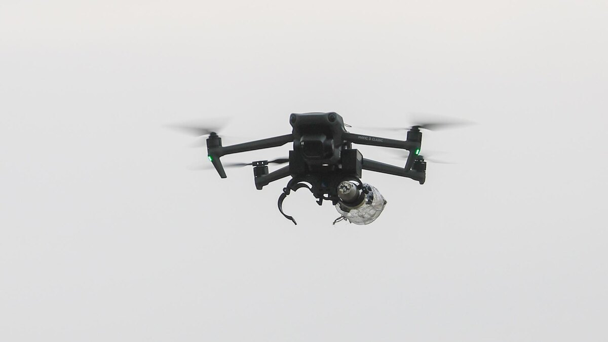    Фото: Shatokhina Natalia/globallookpress.com