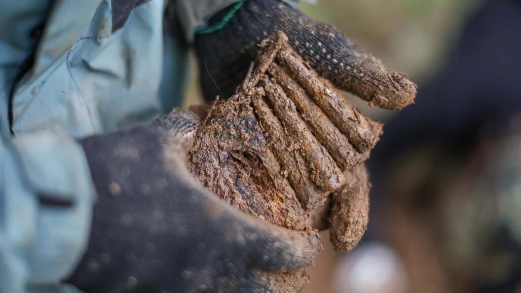    ФОТО: Belkin Alexey/Globallookpress