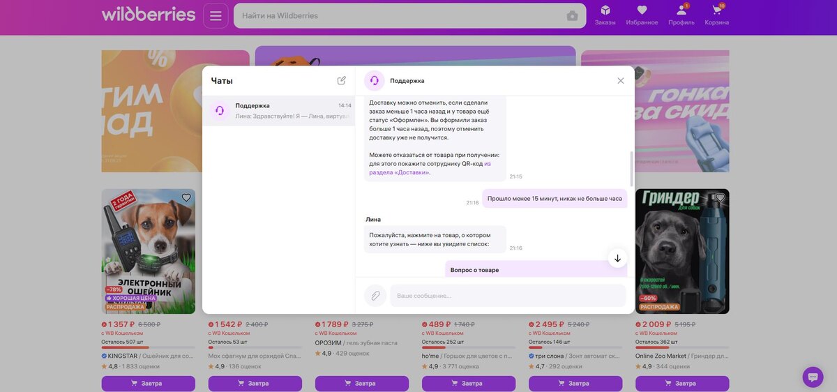 Примерное время переписки: 21:15