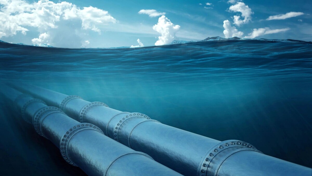    Фото: Marko Aliaksandr/Shutterstock/Fotodom