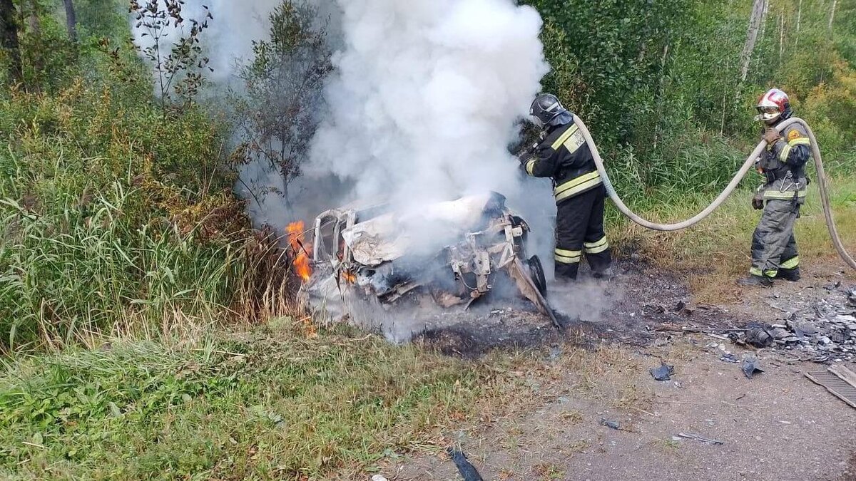    Фото: t.me/dlenobl