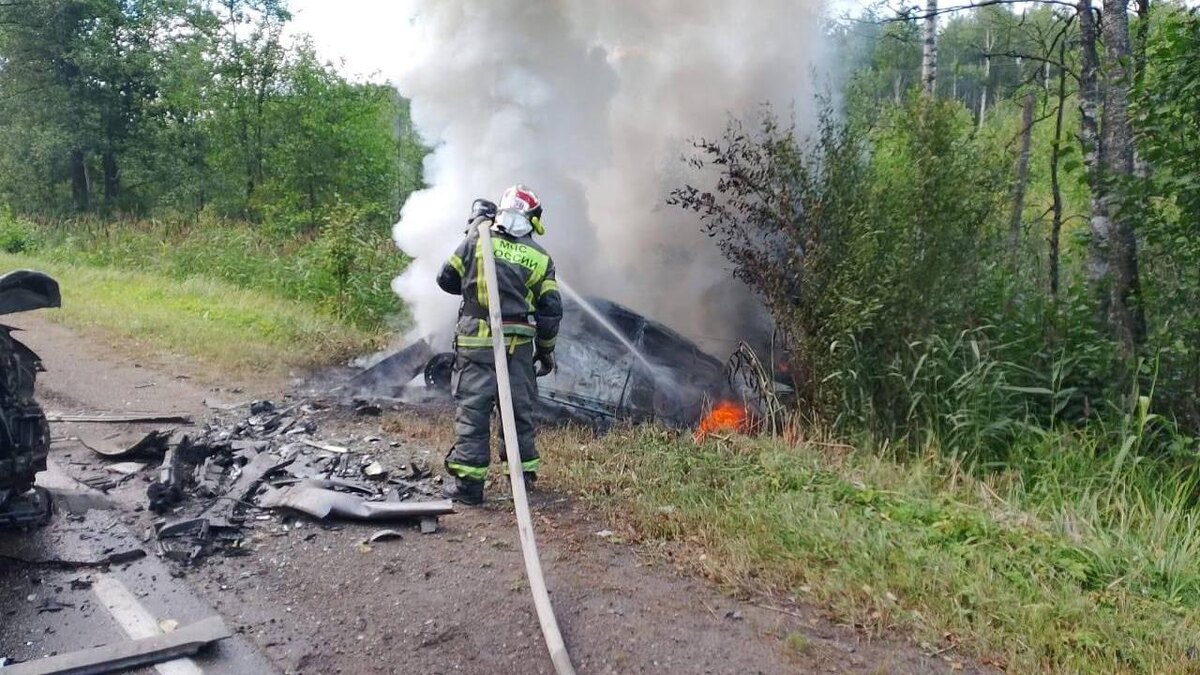    Фото: t.me/dlenobl