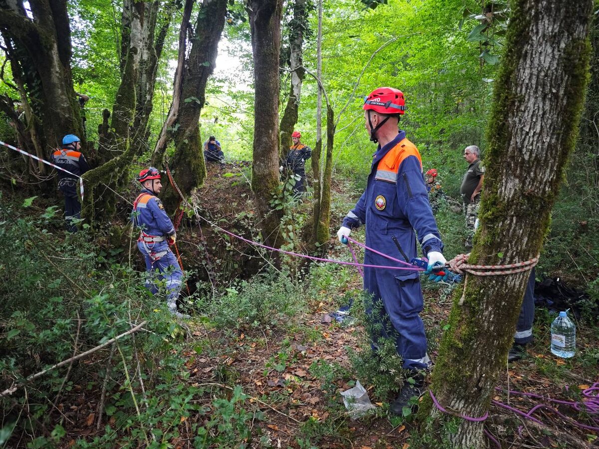    Фото: Telegram/Сочи Официальный