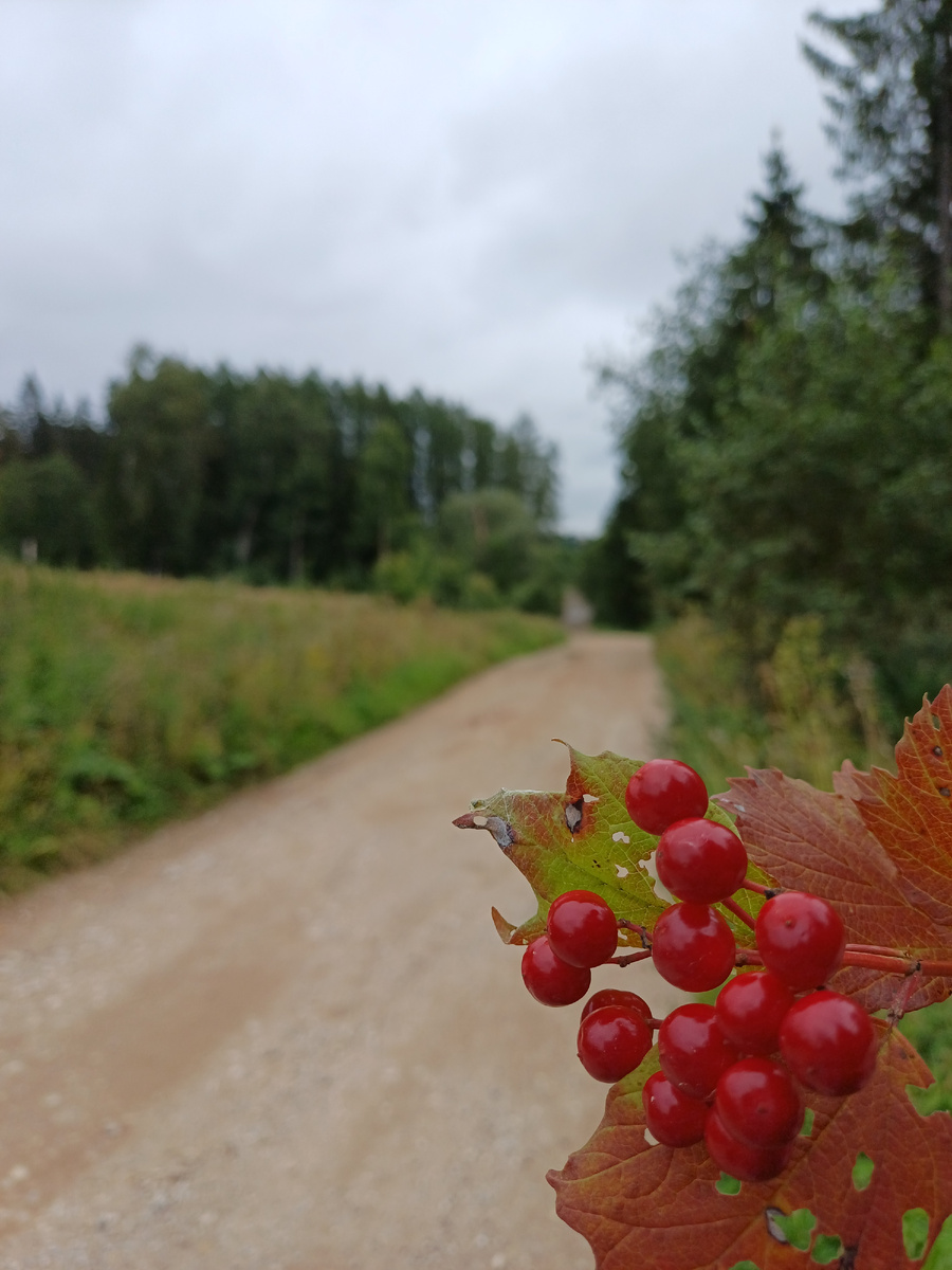 Ну что друзья? Вот и заканчивается жаркое лето! Температура воздуха за бортом уже не выше 12°С. Хотя синоптики еще обещают нам теплую погоду до +20°, но все же осень уже вступает в свои права.