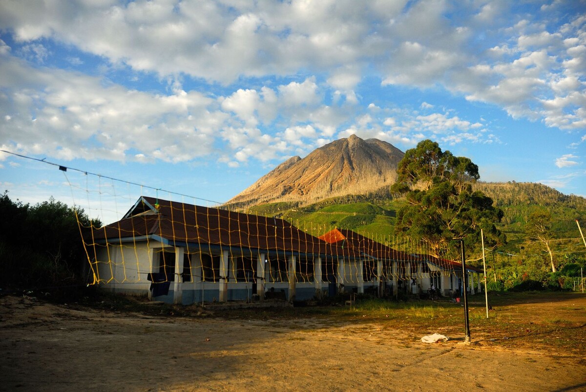     / Источник: © Global Look Press