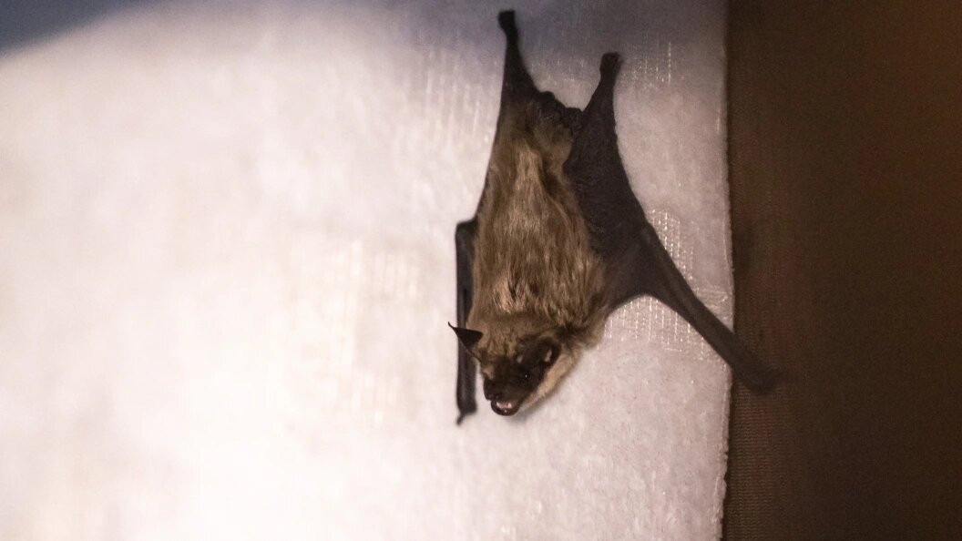    Daniel Karmann/dpa/Globallookpress