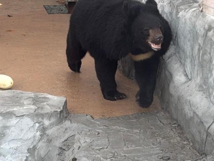     Фото: Пресс-служба Уральских авиалиний