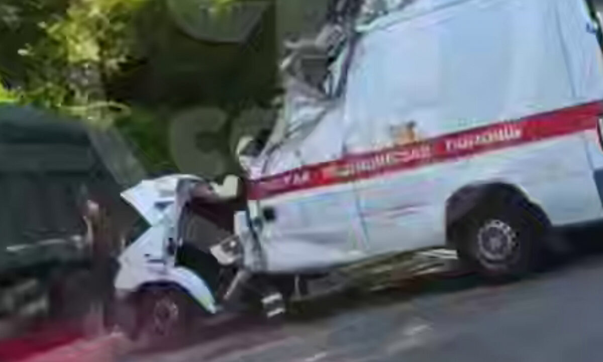    Фото t.me/chp_sochi