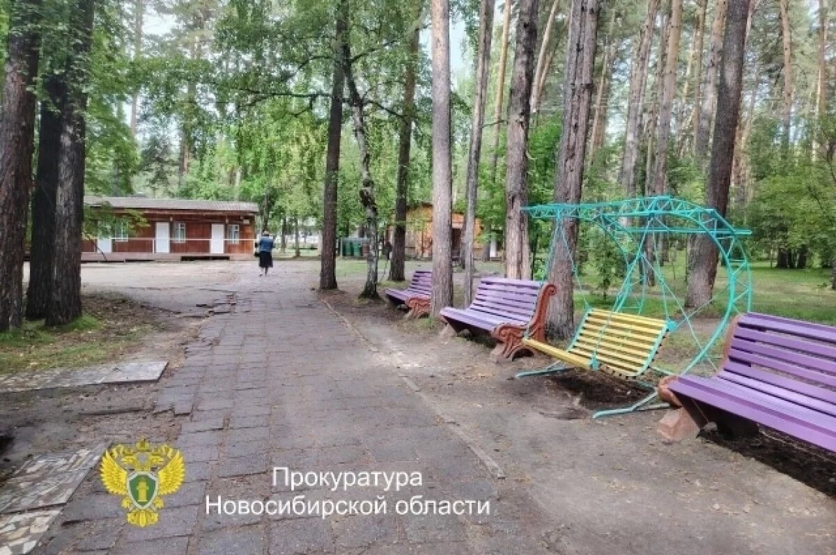    Девочка из лагеря под Новосибирском признана потерпевшей