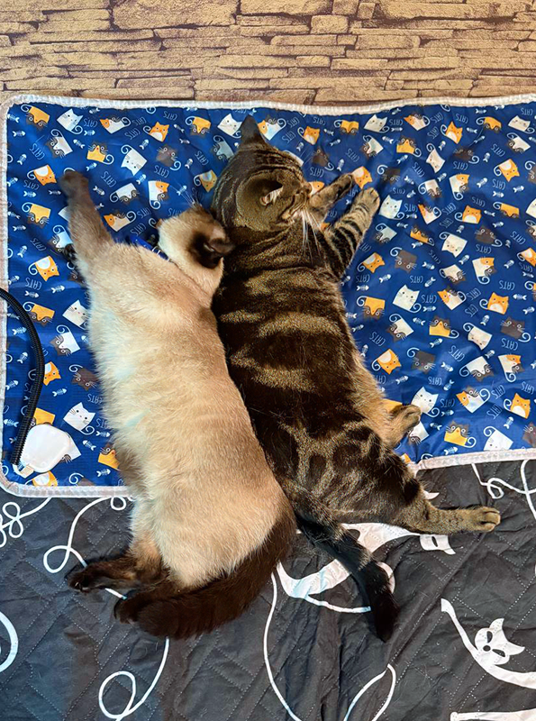 Кайса и Ника