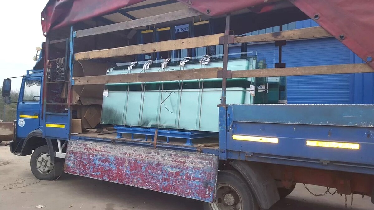 Как перевезти стекло различного формата: правила, упаковка, транспорт