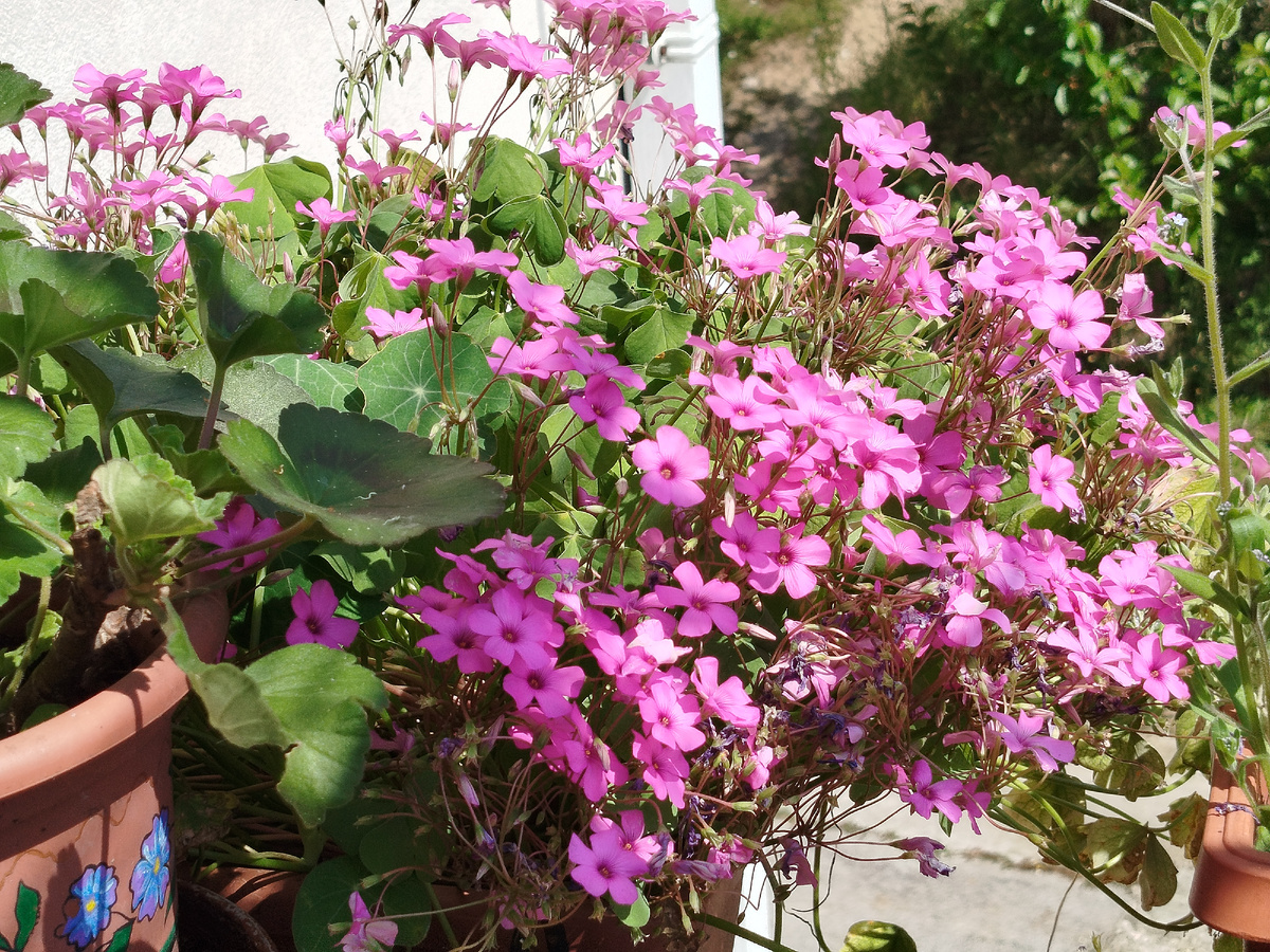 Фото автора. Та самая "неделимая структура" в апреле 2025г.