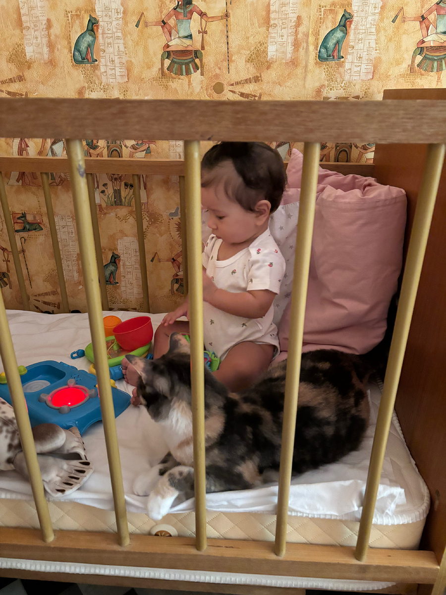 Ксюша с Коськой соскучились 