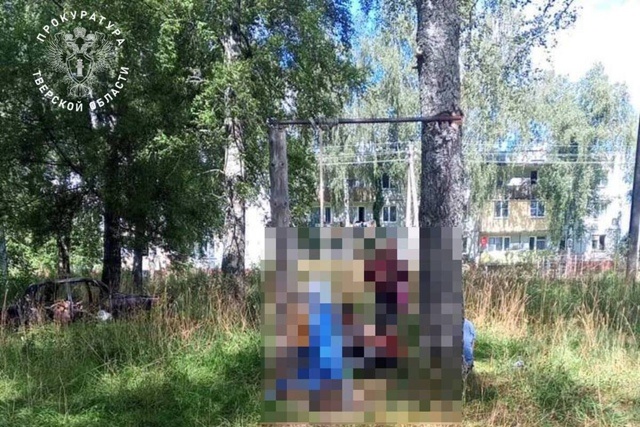 Источник Яндекс картинки